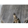 moteur essui glace avant AUDi A4 B6 0390241509