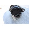 alternateur essence ford paris rhone