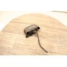 alarme systeme antivol audi a3 1k0907719