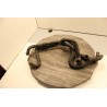 durite araignee circuit refroidissement renault 19 r19