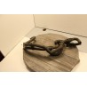durite araignee circuit refroidissement renault 19 r19