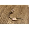 eclairage interieur fivers ford fista 4