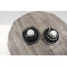 jeu enceinte hp haut parleur avant renault clio 2 8200167235