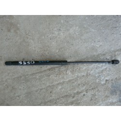 verin de hayon RENAULT CLIO