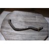 durite de refroidissement moteur renault clio 2