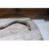 durite de refroidissement moteur renault clio 2