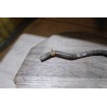 durite de refroidissement moteur renault clio 2