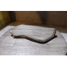durite de refroidissement moteur renault clio 2