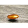 support repetiteur orange REPETITEUR ORANGE OPEL VECTRA B
