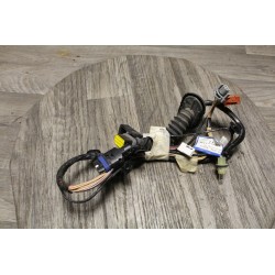 bout faisceau de porte arriere droit RENAULT velsatis 8200068360