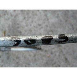 leve vitre avant droit RENAULT clio DS 1900 diesel 2p 1995