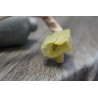 leve vitre electrique avant droit DAIHATSU SIRION 1.3 16V 2001 5P 062100-9051