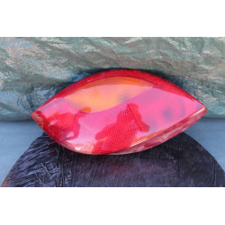 optique feu arriere gauche ford ka