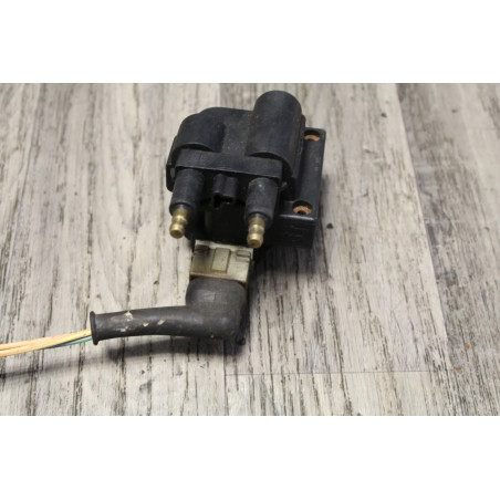 bobine allumage RENAULT LAGUNA 1 SCENIC CLIO MEGANE 7700850999
