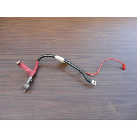 cosse batterie avec bout du cable AUDI A8 V8 3.3 TDI 2001 4D1971225