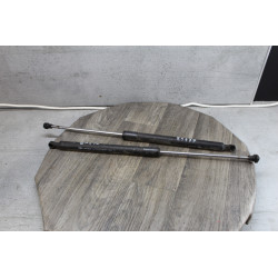 verin de hayon renault laguna 3 844300001r