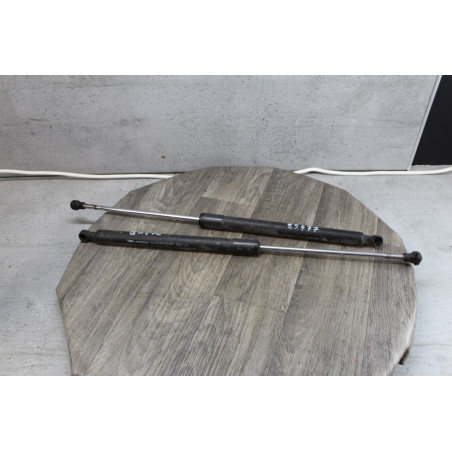 verin de hayon renault laguna 3 844300001r