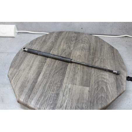 verin de hayon fiat grande punto 199 022931-0350n