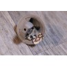 clips fixation pare soleil