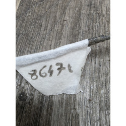 eclairage plaque immatriculation renault express 7700762045