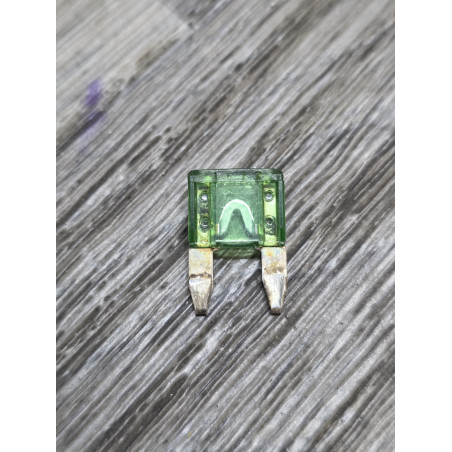 fusible micro 30A