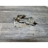 gache de porte arriere gauche peugeot 604 p604
