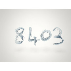 cache plastic porte dessous de tableau de bord PEUGEOT 306 9610235677