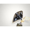 bouton leve vitre gauche avec support rover serie 200 400