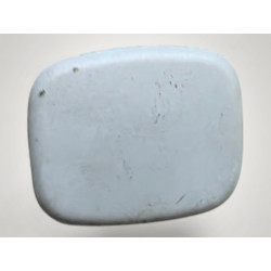 bouchon capuchon cache plastic ciel de toit renault laguna 1 7701209998