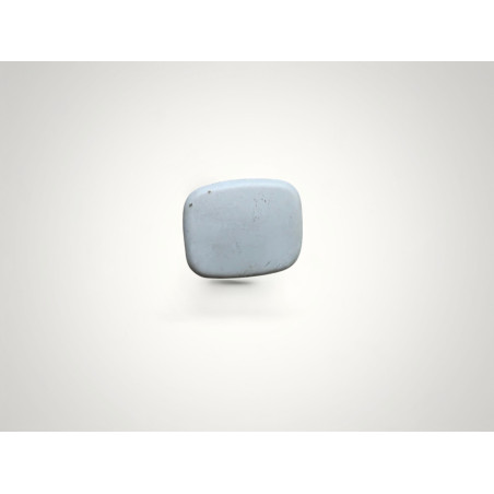 bouchon capuchon cache plastic ciel de toit renault laguna 1 7701209998