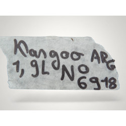 plastic eclairage plaque immatriculation renault kangoo 8200103259