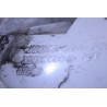 optique feu arriere droit antibrouillard ford focus xs41-15k272-a