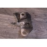 gache capot moteur  vw volkswagen audi ou nissan 100NX
