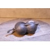 bocal vase type canister  origine inconnue